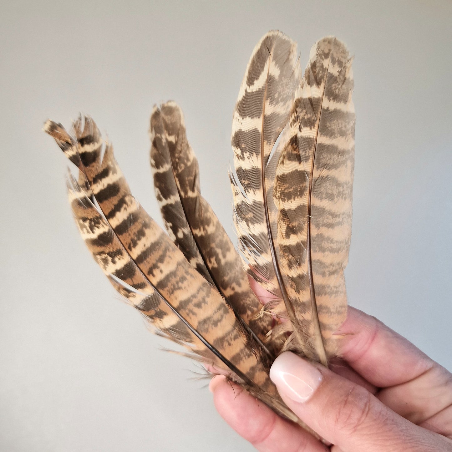 Smudging, Cleansing & Protection
